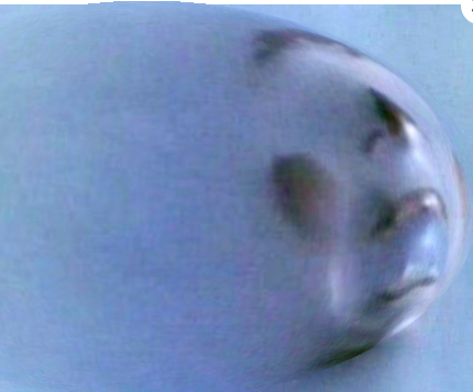 Screen Shot 2018-12-31 at 2.18.50 PM.png